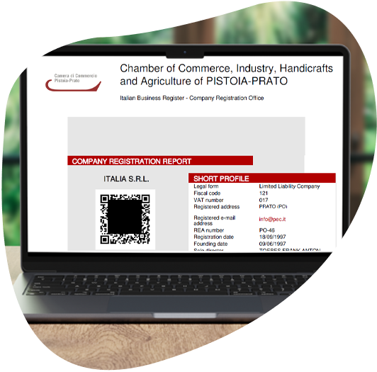 Visura Camerale in inglese